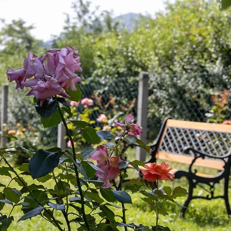 Villah Weekend House